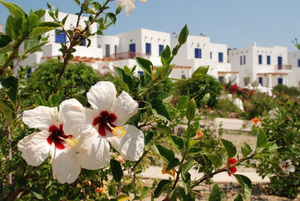 Niriedes Villas リプシ エクステリア 写真